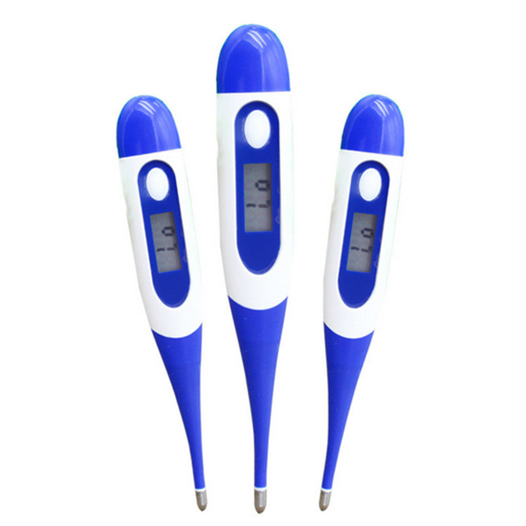 Waterproof Digital Thermometer