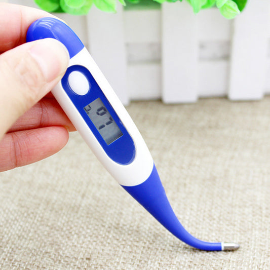 Waterproof Digital Thermometer